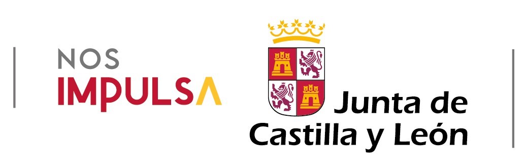 Subvencion Junta Castilla y Leon