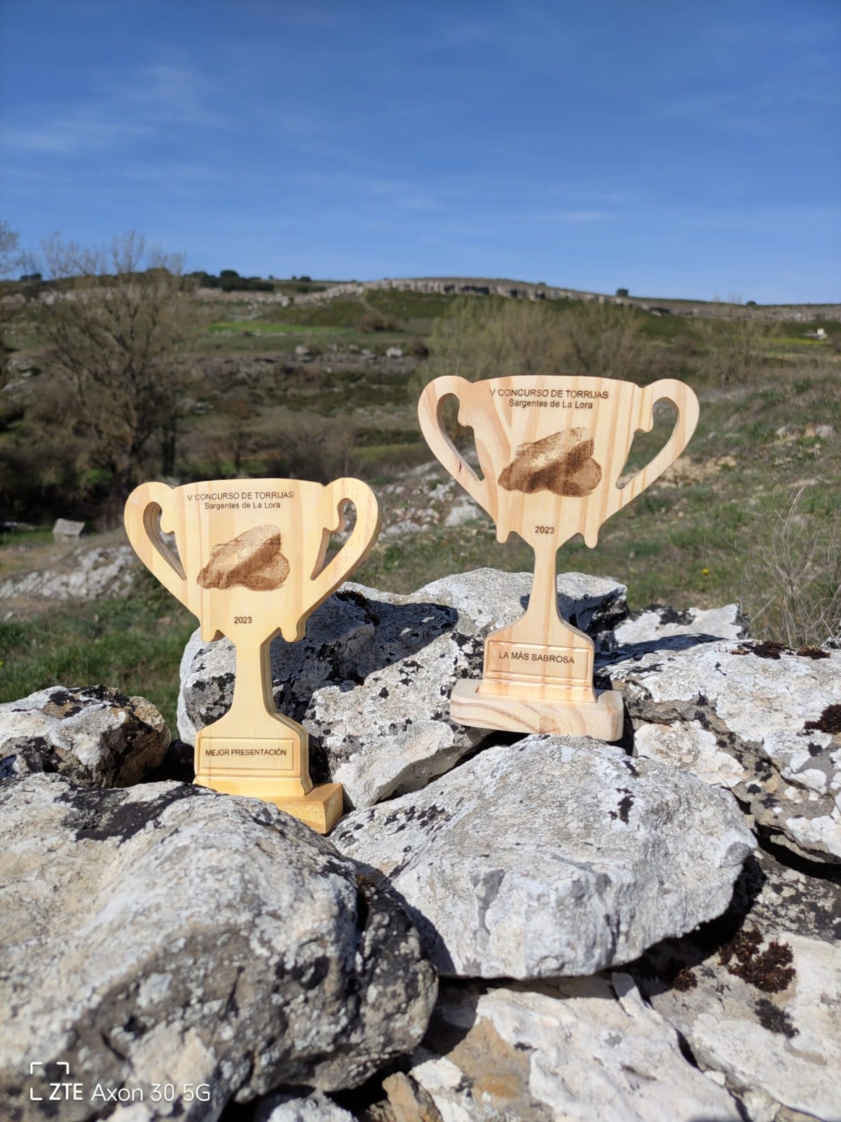 Trofeos artesanos de madera